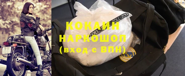 бошки Алексин