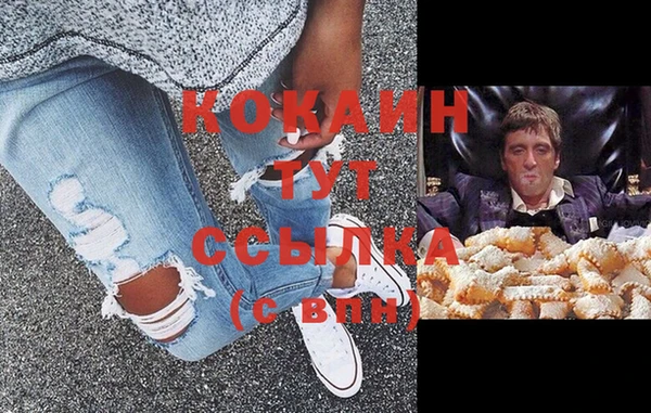 соль ск Алзамай