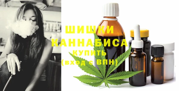 бошки Алексин