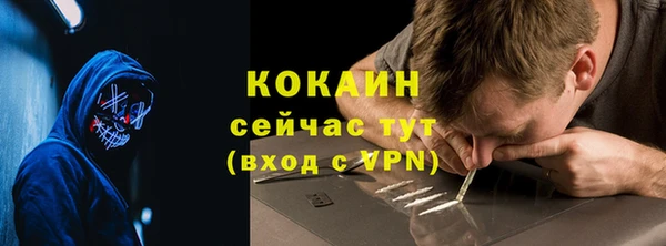 соль ск Алзамай