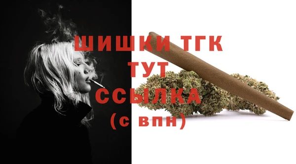 бошки Алексин