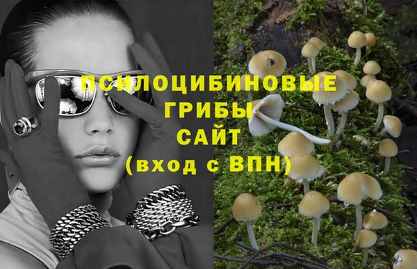 соль ск Алзамай