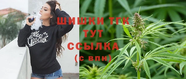 бошки Алексин