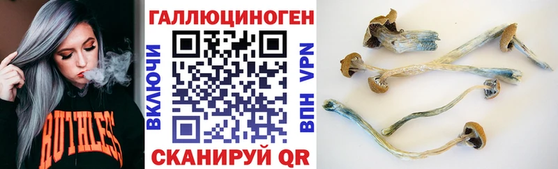 Галлюциногенные грибы прущие грибы гидра сайт Киреевск что такое наркотик